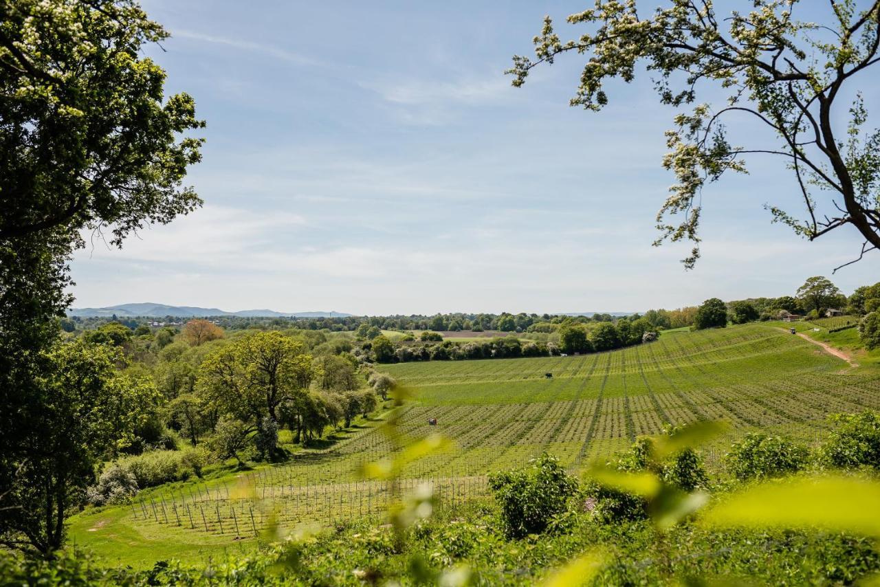 Hencote Vineyard Glamping Village Shrewsbury Exterior photo